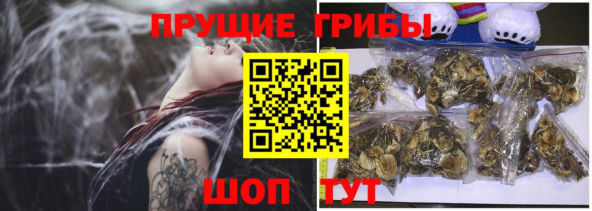 Муром  Галлюциногенные грибы ЛСД  Вход с VPN 